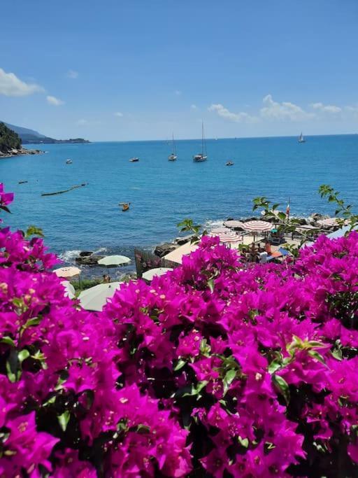 La Terrazza Sul Golfo Dei Poeti Con Vista Mare Lägenhet Pitelli Exteriör bild